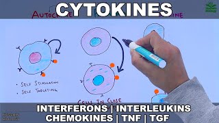 Cytokines  Classification and Functions [upl. by Ohcirej202]