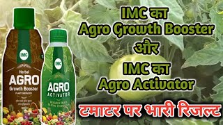 IMC Agro Growth Booster और IMC Agro Activator का टमाटर की खेती पर रिजल्ट [upl. by Ethelda]