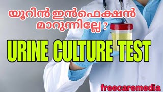 Urine culture test in malayalam urine culture urinetest [upl. by Tteirrah]