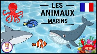 LES NOMS DES ANIMAUX MARINS  Apprendre le vocabulaire pour enfants [upl. by Iem]