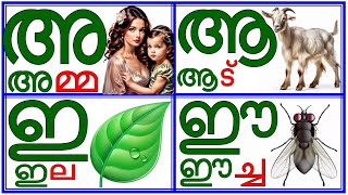 സ്വരാക്ഷരങ്ങൾ എളുപ്പത്തിൽ പഠിക്കാം Understanding the Malayalam vowelsPrinitmalayalam [upl. by Abagail]