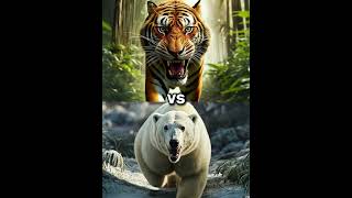 Bengal tiger vs Polar Bear vs White Animals Lion Tiger Wolf blackpanther werewolf hyena [upl. by Chatwin]