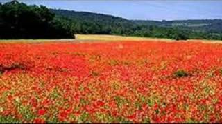 Green Fields of France by John McDermott [upl. by Mariele810]