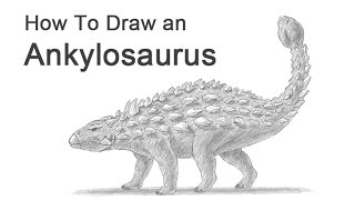 How to Draw an Ankylosaurus [upl. by Tnarb596]