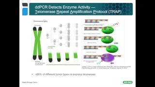 Using Droplet Digital™ PCR for Cancer and Liquid Biopsy Studies [upl. by Pathe]