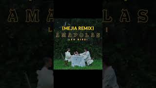 Leo Rizzi  Amapolas Mejia Remix LeoRizzi Remix Amapolas RemixSong LeoRizziAmapolas [upl. by Mraz]