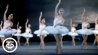 Чайковский quotЛебединое озероquot 1983 Большой театр  Swan Lake Tchaikovsky Bolshoi Theatre [upl. by Nwahsek]