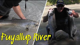 Early morning Salmon Puyallup river [upl. by Siduhey]