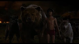 The Jungle Book 2016  Sherekhan VS Baloo amp Bagheera  Hollywood  MovieClips In Hindi HD [upl. by Adnalu]