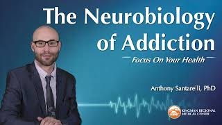 The Neurobiology of Addiction [upl. by Rydder]