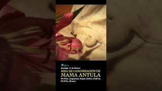 Invitación a la Misa de canonización de Mama Anturla [upl. by Mareld]