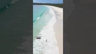 Summertime Hyams Beach Australia Most beautiful white sand beach sydney travel beach shorts nsw [upl. by Natty763]