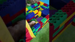 Wiggles Waggles and Waffles have a Dog Obstacle Course Race FamilyFun FunnyDogs ObstacleCourse [upl. by Auqinet]