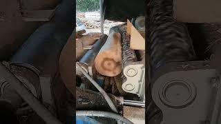 How Our Wood Peeling Machine Creates Perfect Rounds [upl. by Giglio]