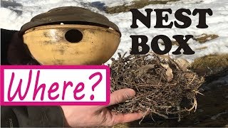 Attract Wrens By Hanging Nest Box  Birdhouse Placement Location [upl. by Emsmus]