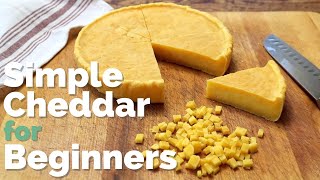 Home Cheesemaking  no special equipment required  Easy Farmhouse Cheddar Hard Cheese Recipe [upl. by Yeffej]