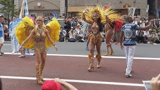 Asakusa Samba Carnival in Tokyo Japan 浅草サンバカーニバル Highlights in 4K [upl. by Gilmore]