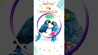 Aprende a hacer aretes de mostacilla de guacamayo [upl. by Wesla]