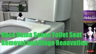 Roca Dama Senso Toilet Seat Removal Hinge Restore [upl. by Klinges]