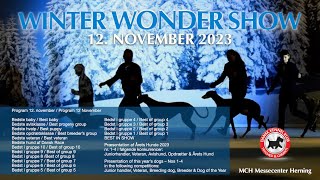 CACIB  Winter Wonder Show 2023  Danish Winner [upl. by Ahsitul]