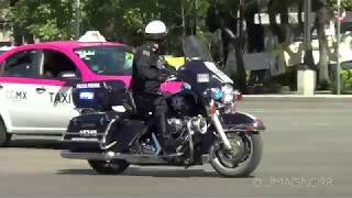 Policía Federal escoltando diplomáticos Motocicletas Harley Davidson [upl. by Quick616]