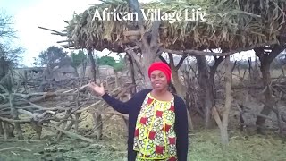 Kumusha Vlog Zimbabwean Village Life Zimbabwean Youtuber [upl. by Tocci]