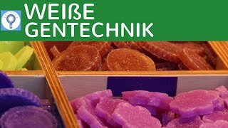 Weiße Gentechnik  Genetik in der Industrie einfach erklärt  Vor amp Nachteile  Gentechnologie [upl. by Cunningham29]