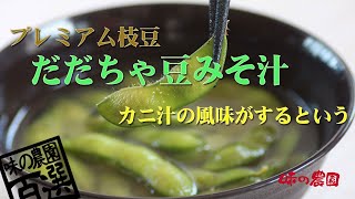 だだちゃ豆みそ汁の作り方 [upl. by Yulma]