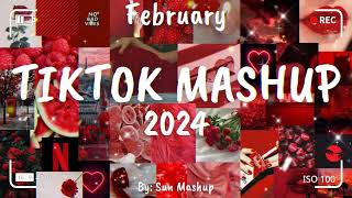 Tiktok Mashup February 🎉 2024 🎉 Not Clean [upl. by Adnylam]