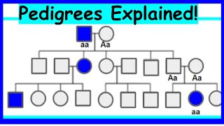 How to Read Pedigrees Modes of Inheritance [upl. by Hamlani]