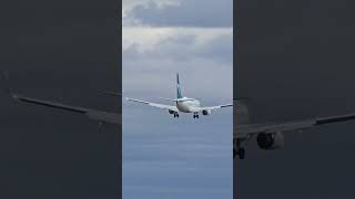 Westjet 737 CT Landing at YEG with 10 knots headwind aviation westjet planespotting shorts [upl. by Edsel]