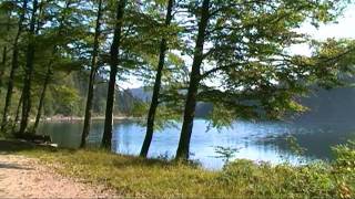 Randonnée dans les Vosges Lac des Corbeaux [upl. by Llertnod]