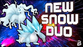 ALOLAN NINETALES amp SANDSLASH Form The Best New Snow Pair In Regulation E VGC 2023 [upl. by Keraj]