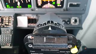 UHD B737 Aileron trim movement during light turbulence [upl. by Acessej]