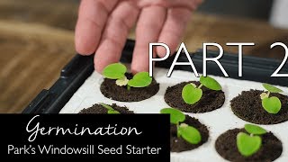 Germination with Parks Windowsill SeedStarter PART 2 [upl. by Tteltrab]