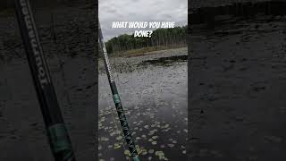 Gassing the size midfight like a true fisherman🎣😂 bassfishing bass fishing [upl. by Anikes]