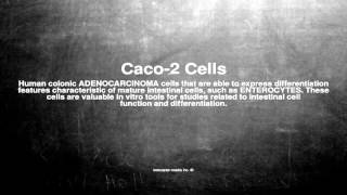 Medical vocabulary What does Caco2 Cells mean [upl. by Fidel551]