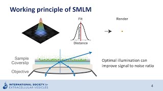 Single molecule localization microscopy of extracellular vesicles [upl. by Kelby190]