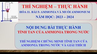 HÓA 11 ĐÀI PHUN NƯỚC  THÍ NGHIỆM TÍNH TAN CỦA KHÍ AMMONIA TRONG NƯỚC VÀ GIẢI THÍCH [upl. by Ahseinaj35]