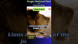 Interesting Facts  Kruger National Park  Wildlife with Rusty and Dusty [upl. by Rebekkah]