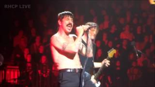 Red Hot Chili Peppers  Emit Remmus  Herning DK MultiCam [upl. by Glogau368]