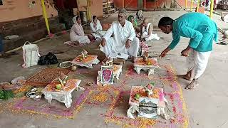 Pitra Dosha Puja Til Tarpan and Pind Daan Brahman Bhojan Gau Seva and Deep Daan  Dev GhatGaya [upl. by Aillicec]