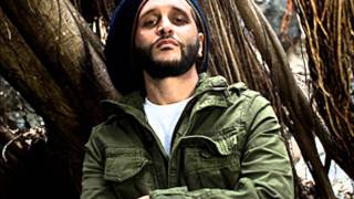 Alborosie  One Sound HD [upl. by Ahseekat]