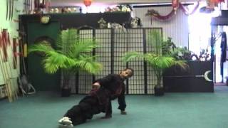 TAI SHING PEK KWAR MONKEY KUNGFU GROUND FUNDELMENTALS 20100829144627wmv [upl. by Prochora]