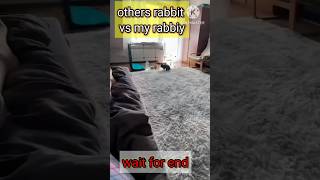 Others rabbit vs my rabbit wait for end rabbit rabbits shorts short cute pets trending [upl. by Atiuqahc224]