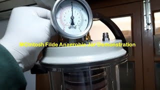 MCIntosh Filde Anaerobic Jar Demonstration [upl. by Inava]