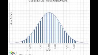 01 Qué es la distribución normal [upl. by Coral]