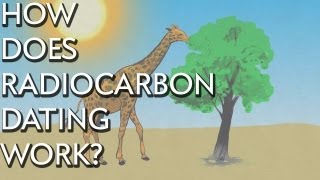 How Does Radiocarbon Dating Work  Instant Egghead 28 [upl. by Dilks]