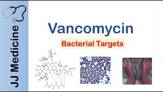 Vancomycin  Bacterial Targets Mechanism of Action Adverse Effects [upl. by Magbie]