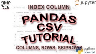 Pandas Read CSV Tutorial skiprows usecols missing data  more [upl. by Willem]